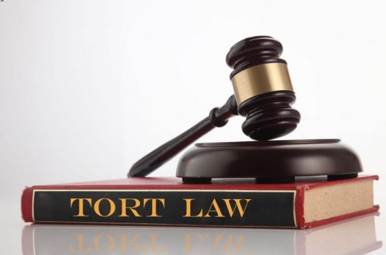 What Is Tort Law?